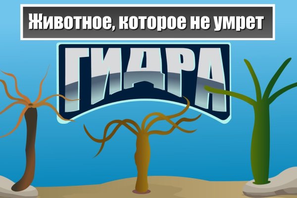 Ссылки на даркмаркеты