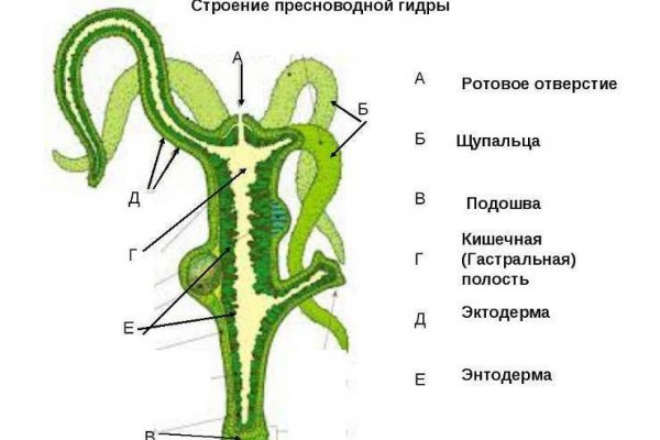 Кракен настоящий сайт