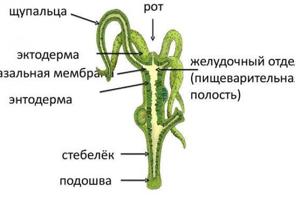 Кракен драг