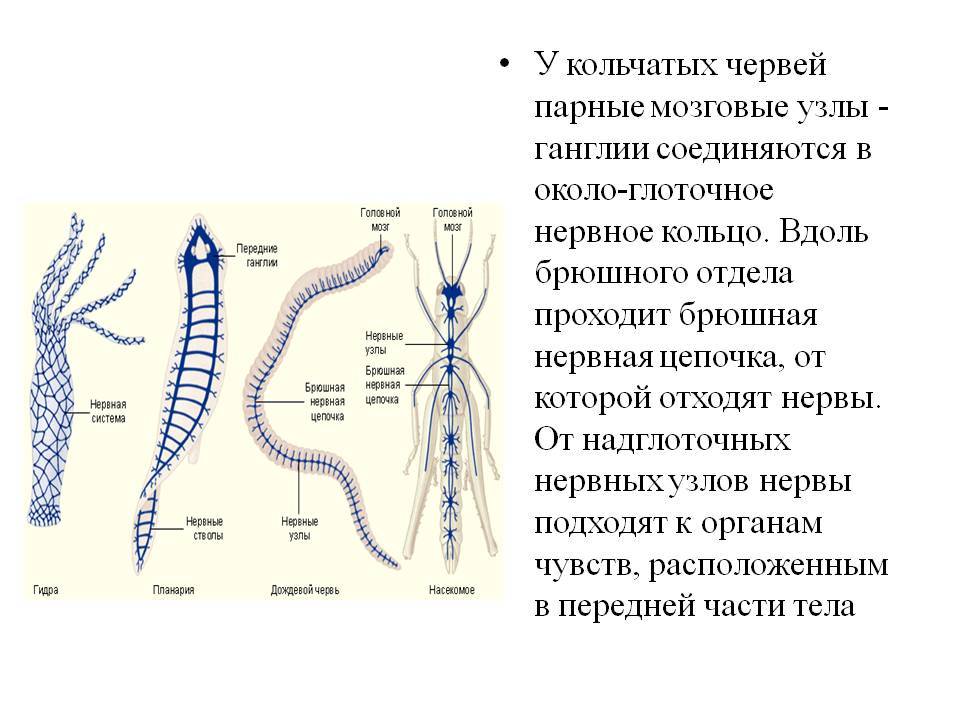 Кракен маркетплейс почему не закроют